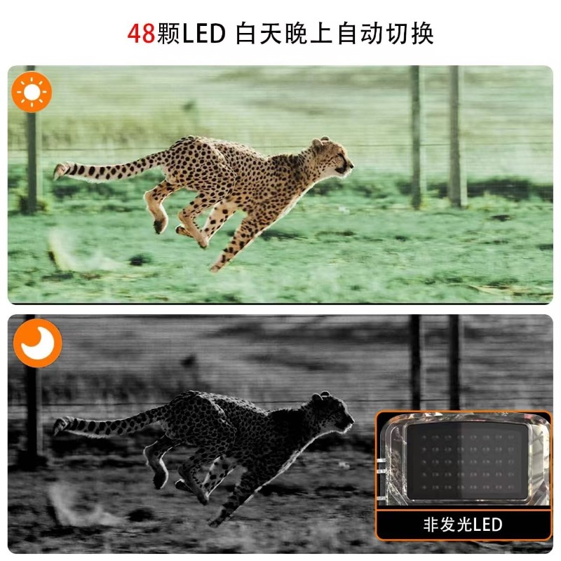 HOT SALE DL001 Hunting Camera  - đánh giá và giá Outdoor Hunting Images