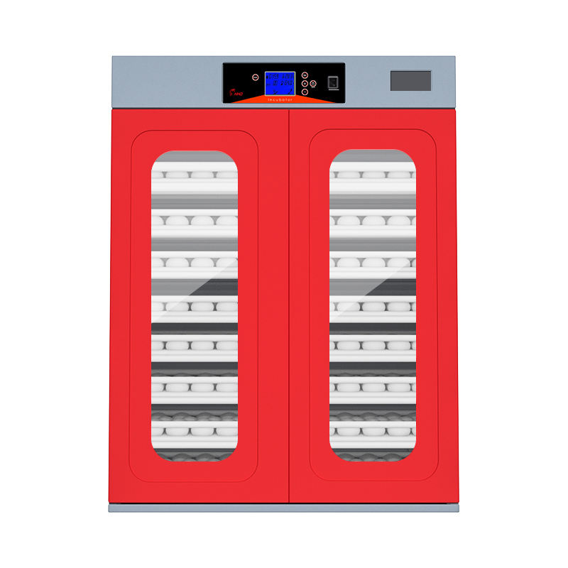 Automatic Egg Incubator With R - đánh giá và giá Hunting Quail
